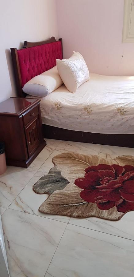 Luxury Entire In Cbd Area Directly Amazing View From Entire With Unforgettable Nightlife Next To Hilton Apartment Alexandria